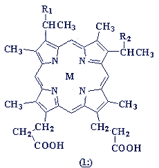 Рис. 1. Гематопорфирин-IХ.